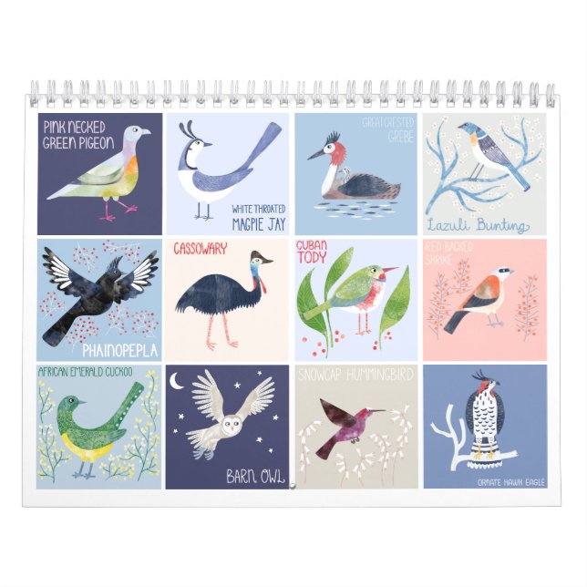 Calendrier Les oiseaux du monde entier (Protection)
