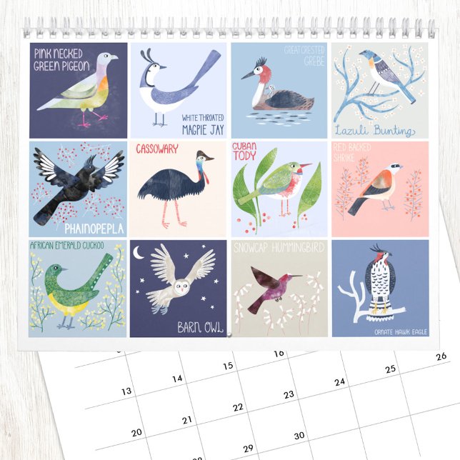 Calendrier Les oiseaux du monde entier (Birds around the World fun art calendar with illustrations by Nic Squirrell)