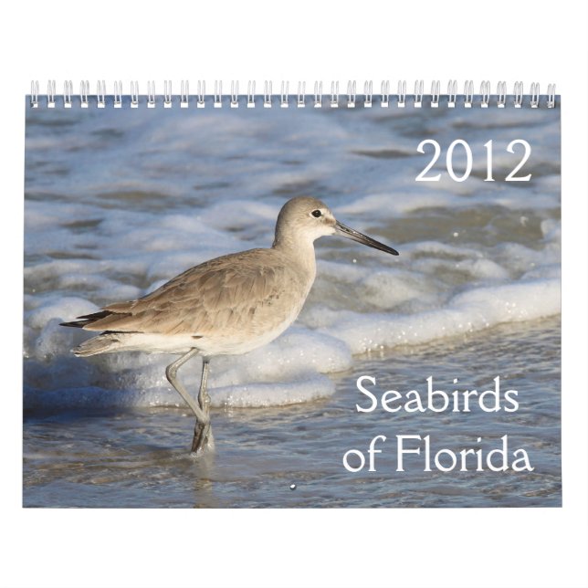 Calendrier Les oiseaux marins de la Floride 2012 (Protection)