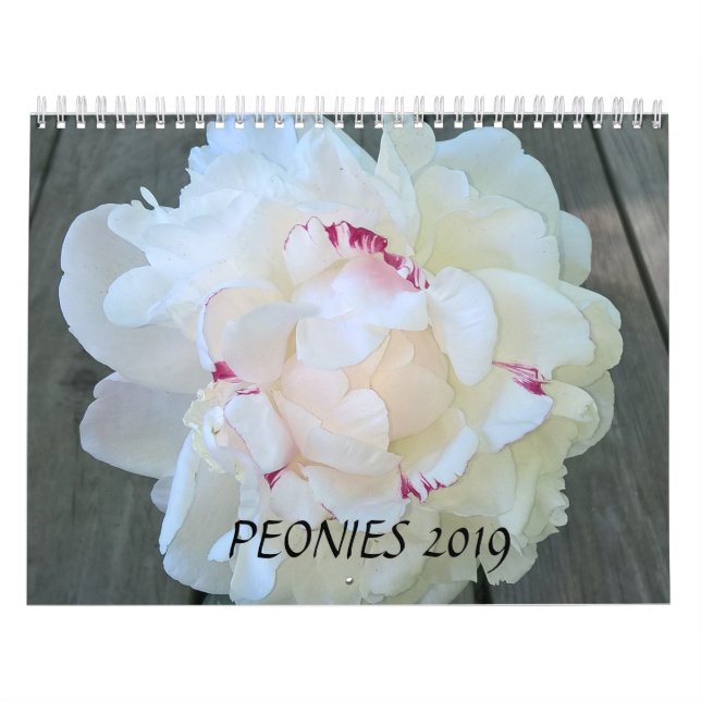 Calendrier Les pivoines classent 2019 (Protection)