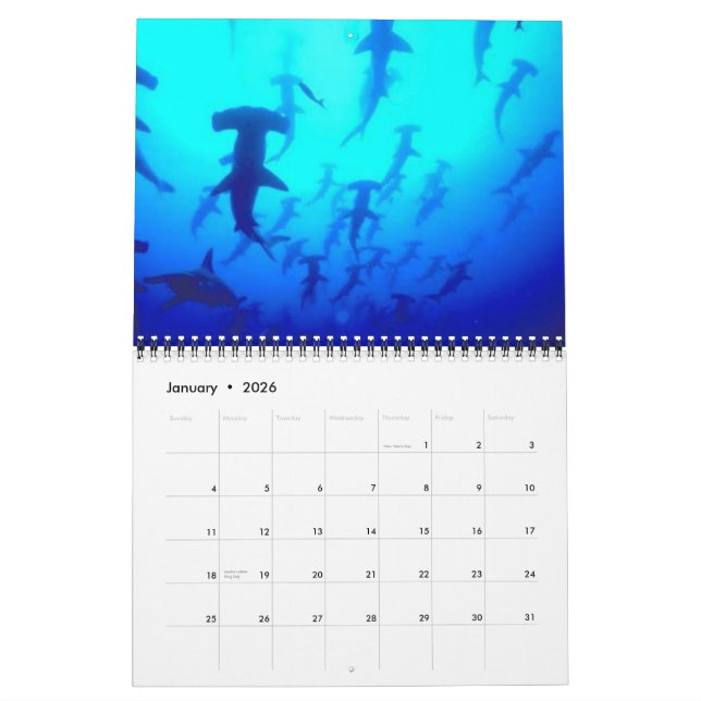 Calendrier Les requins classent 2013 (Jan 2026)