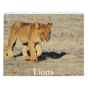 Calendrier Lion