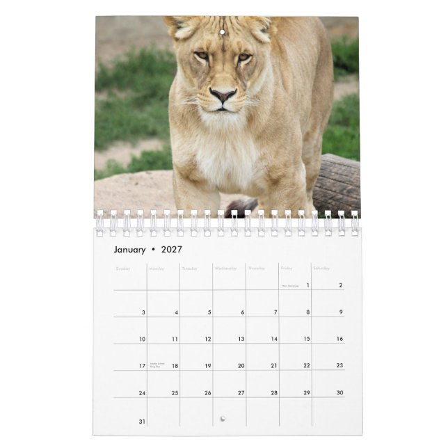 Calendrier Lion (Jan 2027)