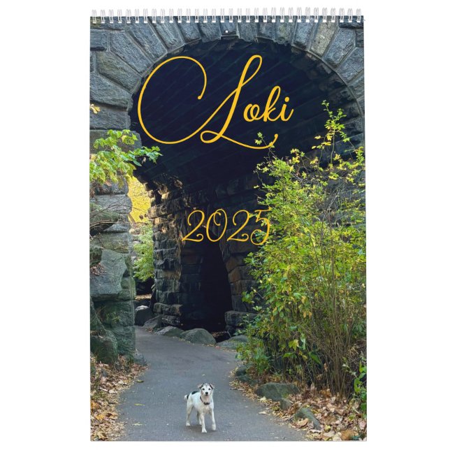 Calendrier Loki 2025 (Protection)