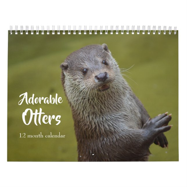 Calendrier Loutres de mer adorables 2026 (Protection)