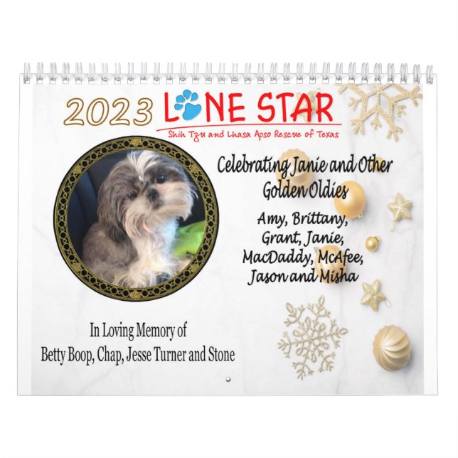 Calendrier LSSTLAR 2023 (Protection)