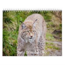 Calendrier Lynx Wildlife