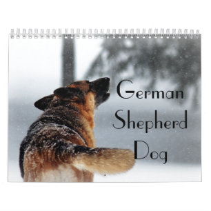 Calendrier magnifique de chien de berger allemand