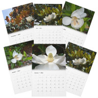 Magnolia Blossoms Belle Photographie Florale