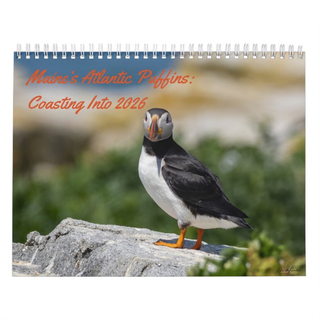 Calendrier Maine’s Atlantic Puffins: Coasting Into 2026  (Protection)
