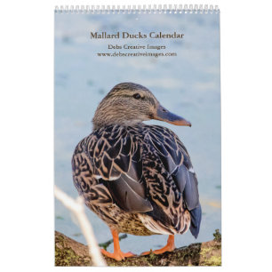 Calendrier Mallard Ducks 2025
