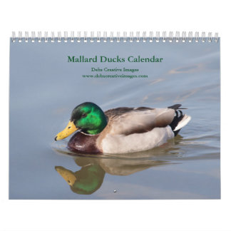 Calendrier Mallard Ducks 2026