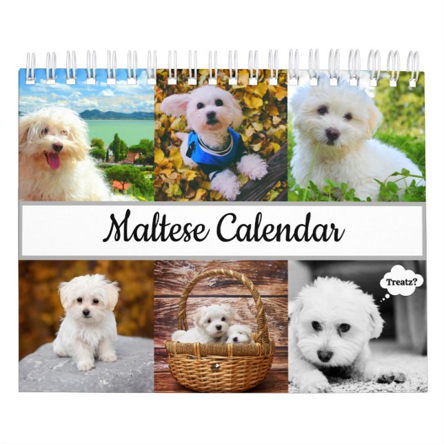 Calendrier maltais (Protection)