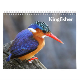 Calendrier Martin-pêcheur 2027