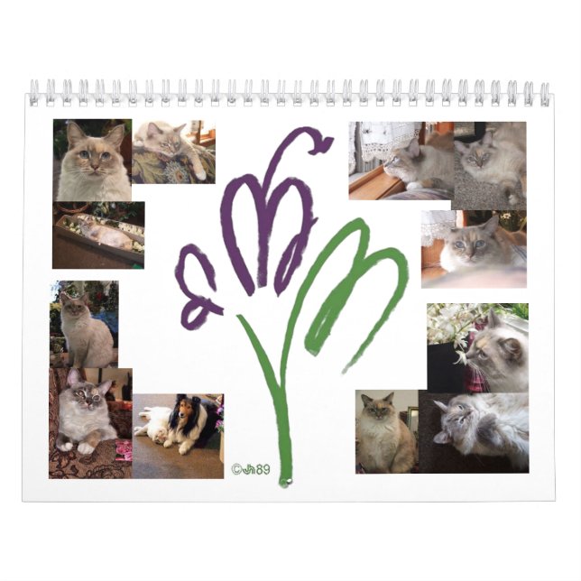 Calendrier Mascotte Chat (Protection)