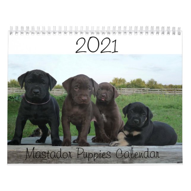 Calendrier Mastador Puppies 2021 (Protection)