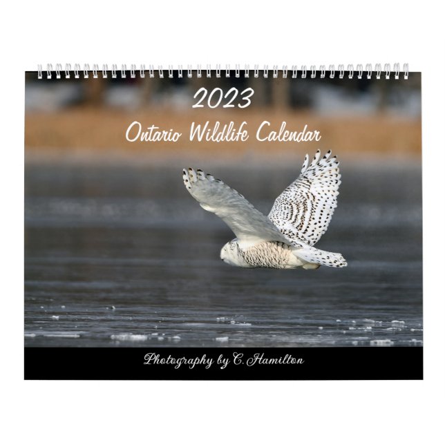 Calendrier MediumCalendar de deux pages, blanc (Protection)