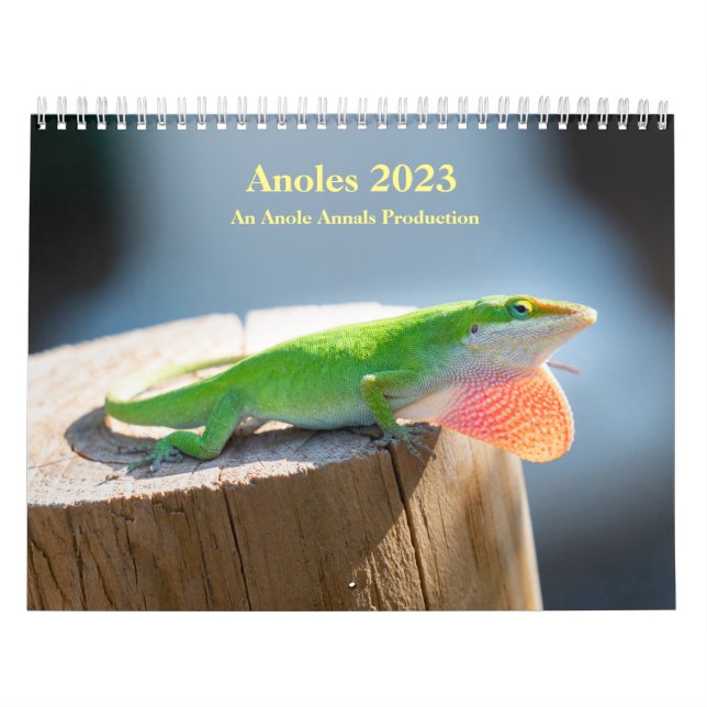 Calendrier MediumCalendar de deux pages, blanc (Protection)