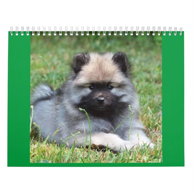 Calendrier MediumCalendar de deux pages, blanc (Protection)