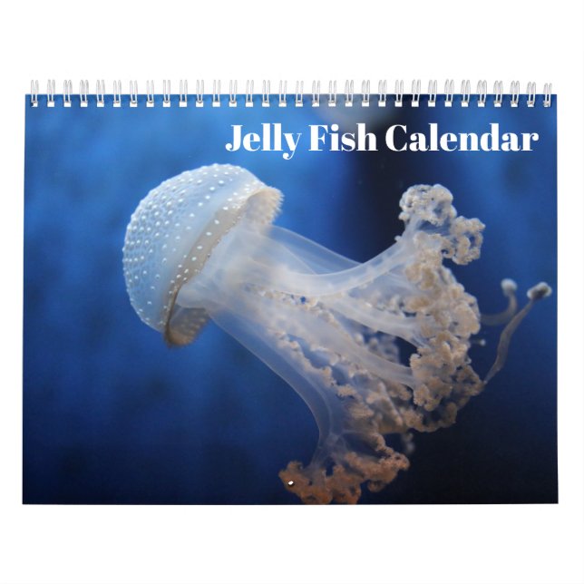 Calendrier Méduse (Protection)