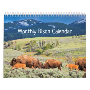 Calendrier mensuel des bisons - Édition Parcs nat