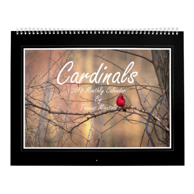 Calendrier mensuel des cardinaux 2018 par Thomas (Protection)