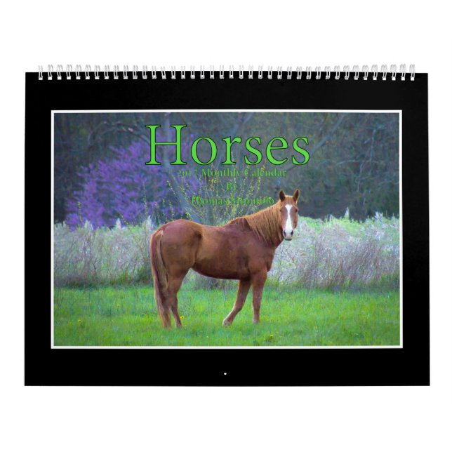Calendrier mensuel des chevaux 2017 par Thomas (Protection)