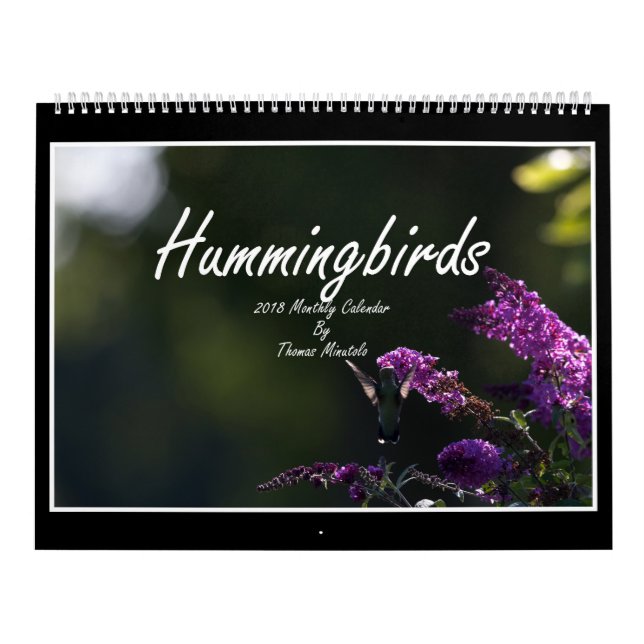 Calendrier mensuel des colibris 2018 par Tom (Protection)