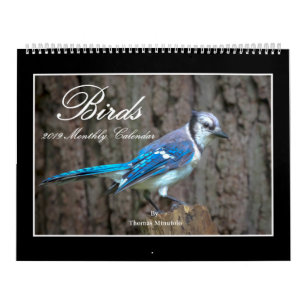 Calendrier mensuel des oiseaux 2019 par Thomas