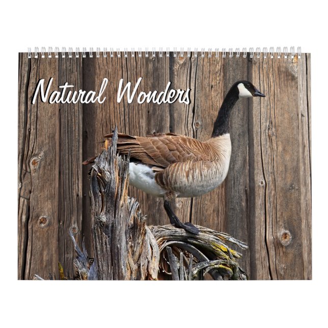 CALENDRIER MERVEILLES NATURELLES (Protection)
