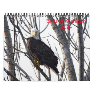 Calendrier Michigan Birds 2024