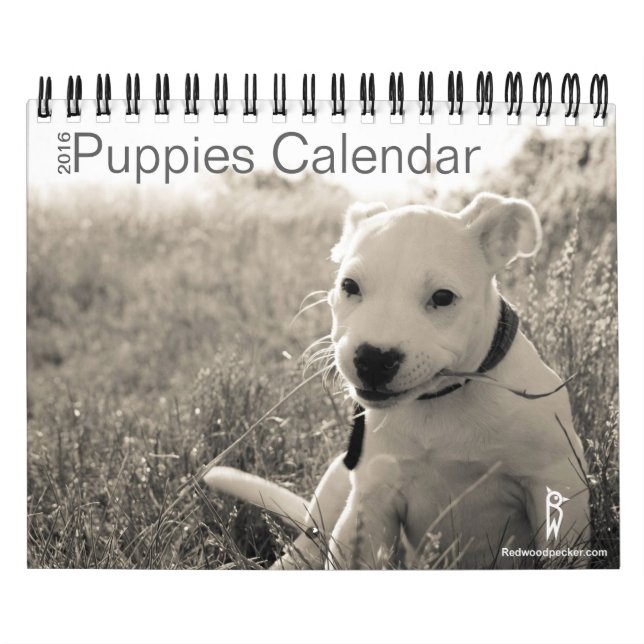 Calendrier mignon 2016 de chiots (Protection)