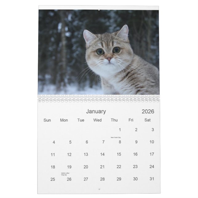 Calendrier mignon des chatons 2012 (Jan 2026)