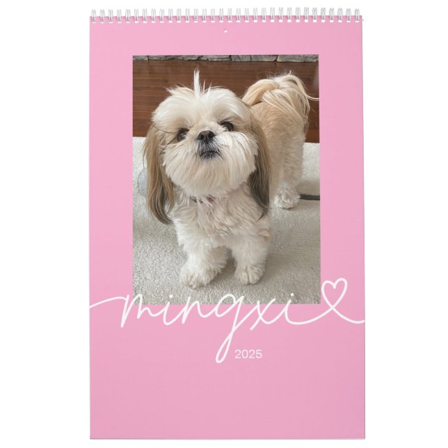 Calendrier Mingxi 2025 (Protection)