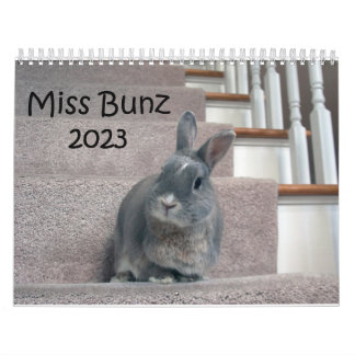 Calendrier Miss Bunz 2023