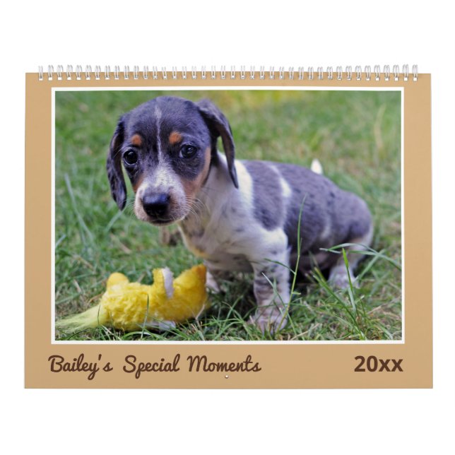 Calendrier Modern Cute Dachshund Custom Pet Photos  (Protection)