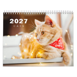 Calendrier Moderne 2025 de Photos de Chats