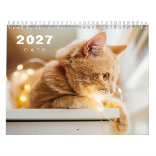 Calendrier Moderne 2025 de Photos de Chats