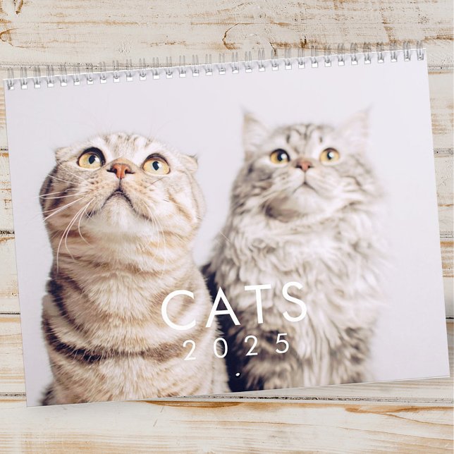 Calendrier Moderne Cute Funny Animal Kitten Chat Photos (Créateur téléchargé)