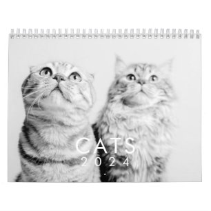 Calendrier Moderne Cute Funny Animal Kitten Chat Photos