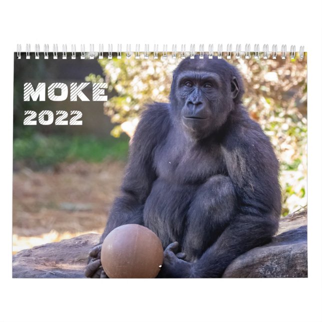 Calendrier Moke 2022 (Protection)