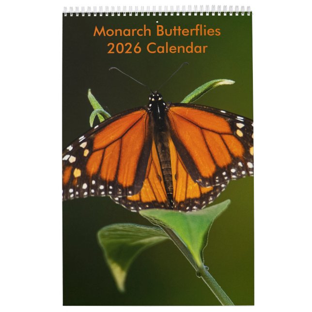 Calendrier Monarch Butterflies One Page Calendar (Protection)