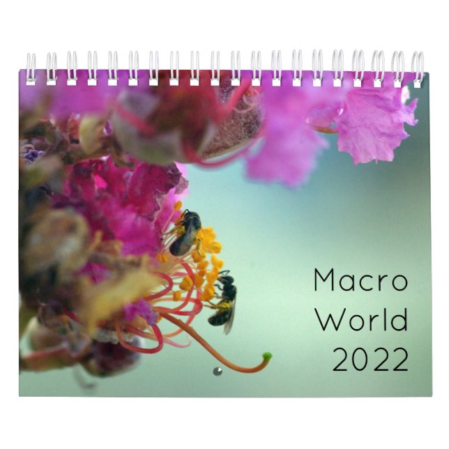 Calendrier Monde macro 2022 (Protection)