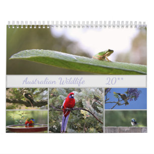 Calendrier Motivation de la photographie de la faune australi