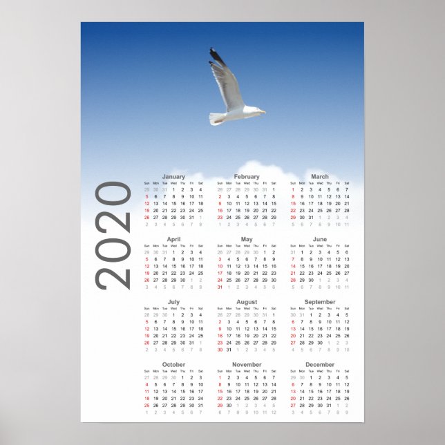 Calendrier Mouette 2020 Affiche (Devant)