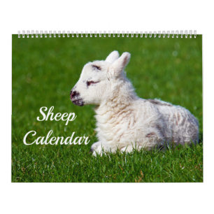 Calendrier Mouton