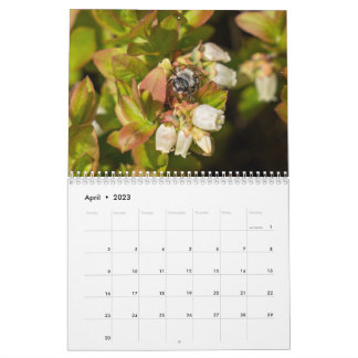 Calendrier moyen de deux pages, calendrier blanc