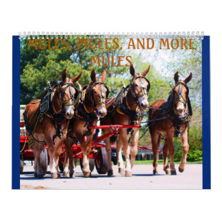 CALENDRIER MULES, MULES, MULES