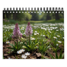 Mur Pittoresque 2025