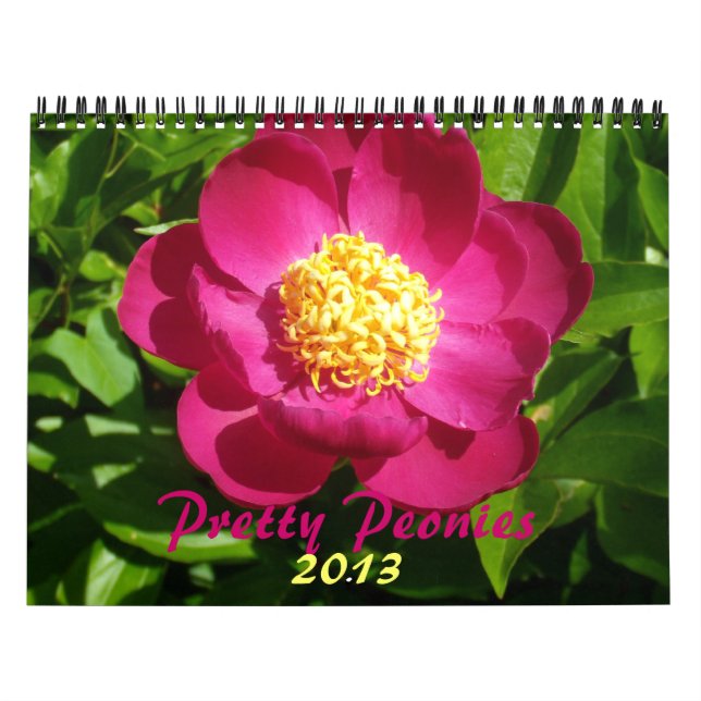 Calendrier Mural 0 2013 Jolies Peonies (Protection)